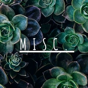 Home, Accessories, Bags, & Misc. Items!